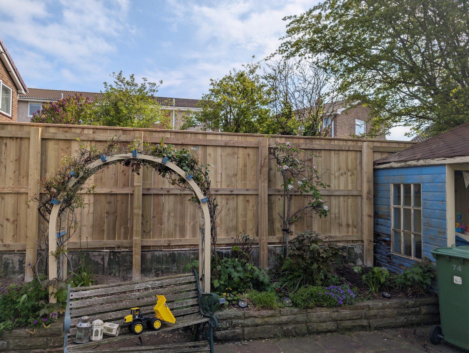 A new close-board fence behind a garden arch, next to a blue shed